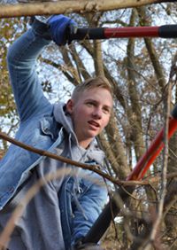 Junior Jack Schneider cut away scraggly nuisance trees