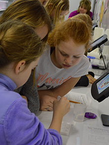 Lara Edwards, center, uses a pipette to administer water droplets with food coloring as Sienna Larson and Natalie Bitley observe the changes in tint