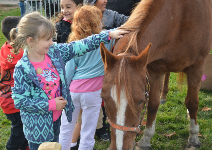 Students meet Sunny the horse