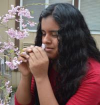 Junior Ana Valle smells a cherry blossom plant in the schoolyard where students are growing plants and wildflowers