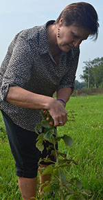 Teacher Dolores Keeley inspects raspberry bushes planted in the spring by students on Forest Hills Eastern High property