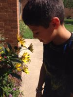 Using his sense of smell, a student sniffs a perennial flower