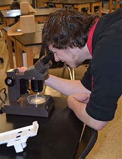 Senior Jonathon Haskill focuses on eggs that will hatch into brine shrimp