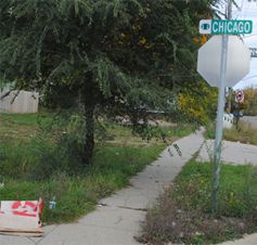 Overgrown lots are another sign of distressed communities 