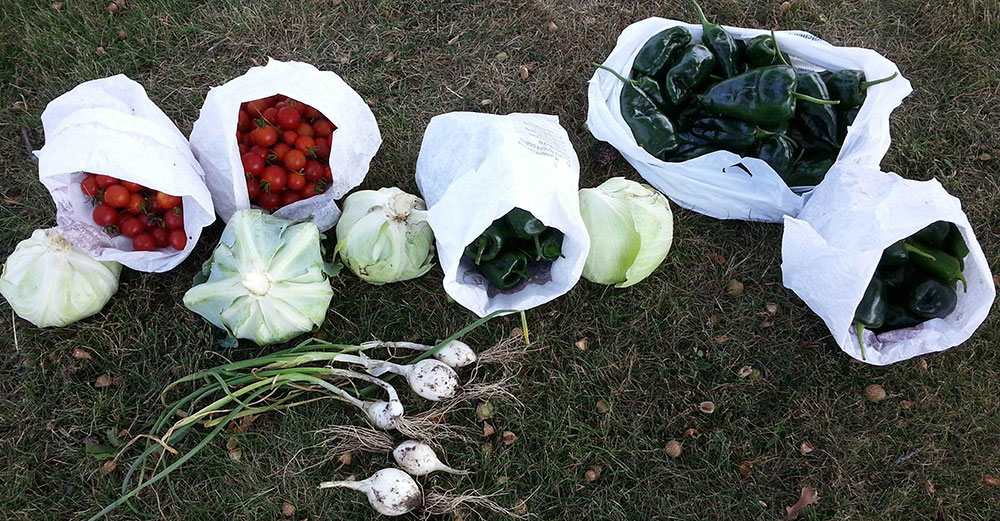 Produce is bagged andready for delivery