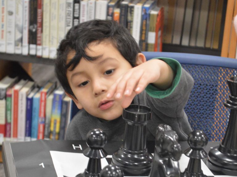 Way Cool: Public Library Within a School