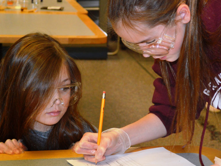 Braylon Taylor watches her big sister Lane, who attends Center Park Learning Center in Grandville, write down conclusions to her lab experiment