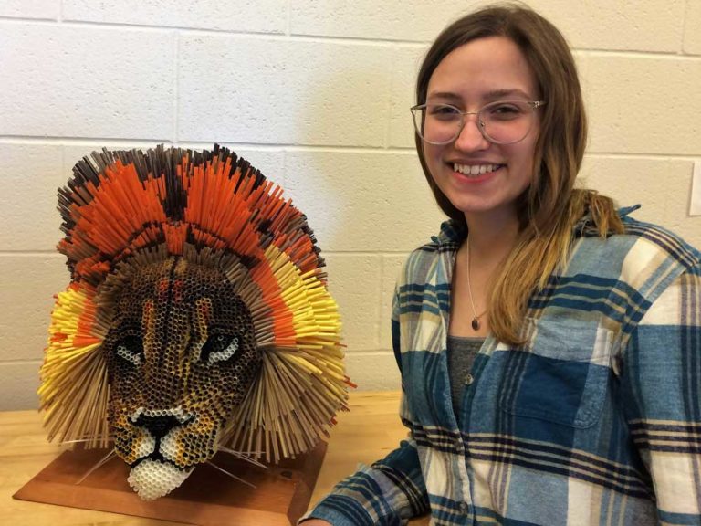 Imagination, hard work turn 3,000 plastic straws into amazing lion head