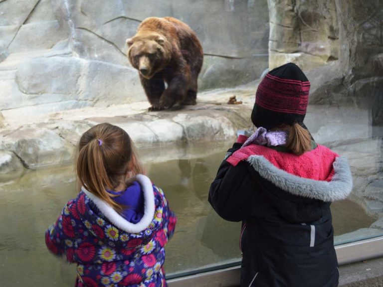 Zoo visit by students for students