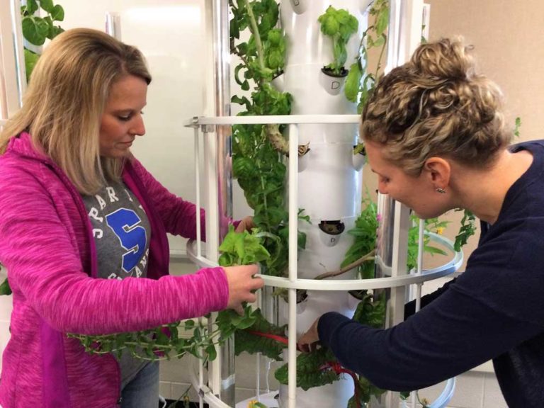 Grant introduces healthy eating education via indoor tower gardens