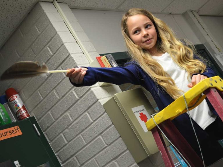 Don’t lose that beetle! Fourth-graders prep for annual science fair