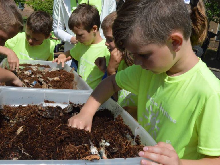 Flowers, produce to yield bumper crop of learning