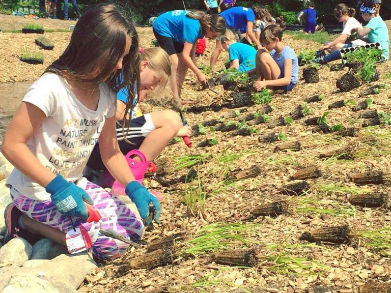 Students plan, plant rain garden to help protect Rum Creek