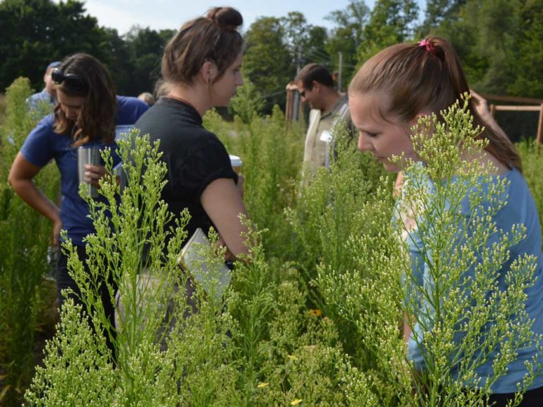 Outdoor ‘classroom’ experience equips area teachers with hands-on projects