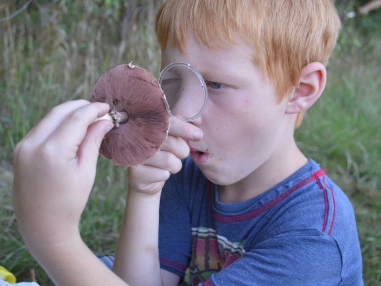 At Field School, natural world is a living textbook that’s always open