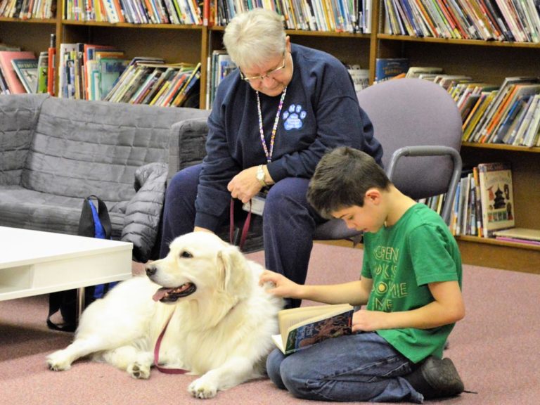 Dogs: best friend, great listeners