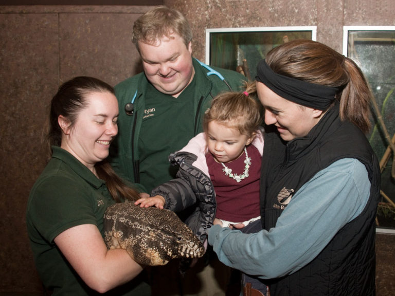 Ryan Colburn, MacGyver of the vet world