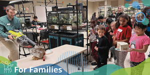 Opportunities For Families