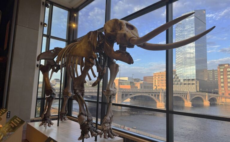 The Grand Rapids Public Museum: Now Home to the Clapp Family Mastodon