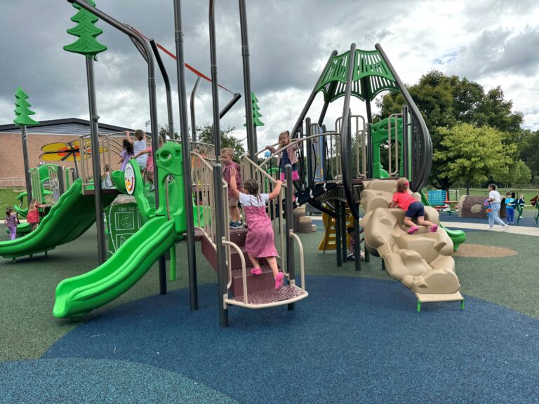 Voters approve ballot measures in several districts, defeat bond in Rockford