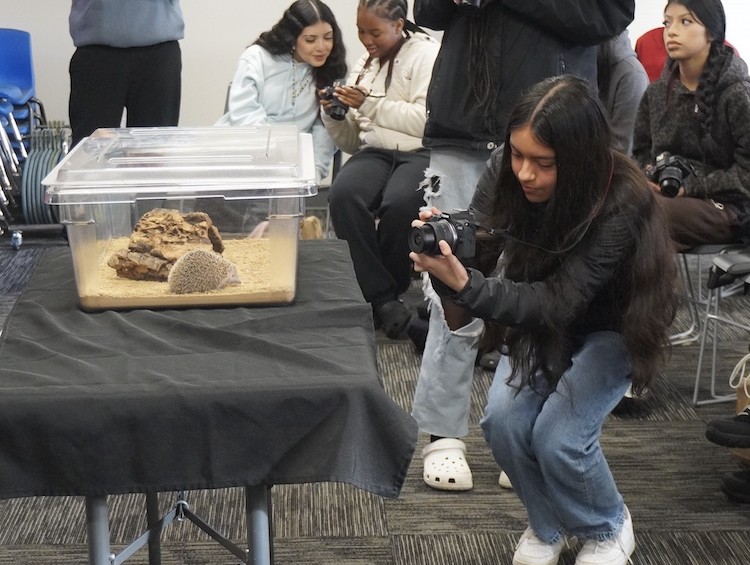 Capturing the wild side of learning