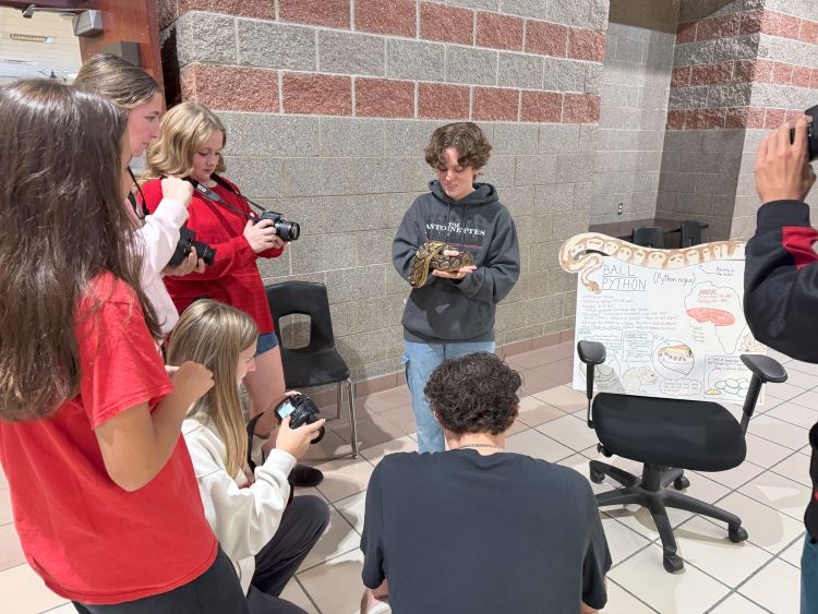 Scared of snakes? Maybe you don’t need to be