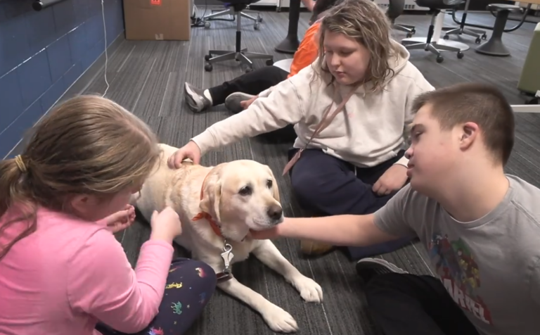 Three students petting Chillie, a cute, yellow dog