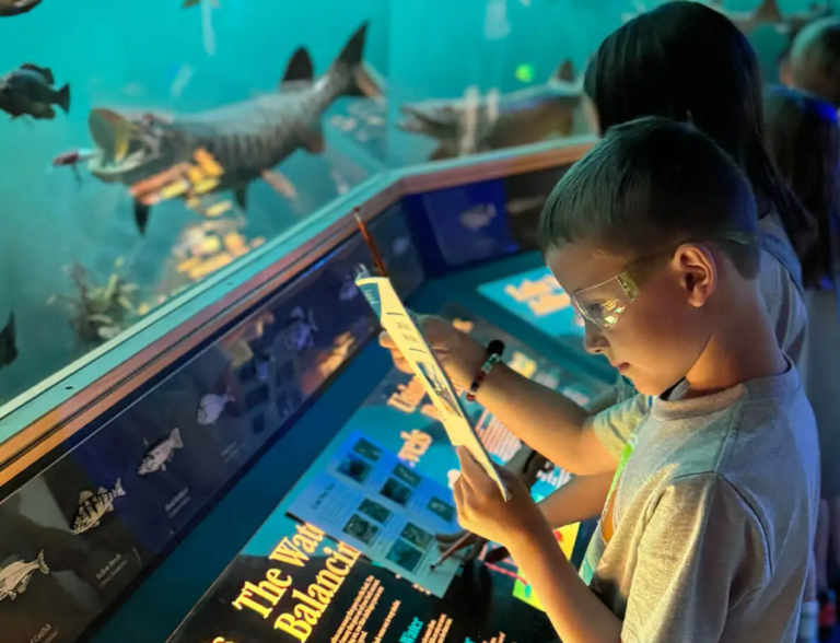 Time to sign up for Camp Curious at GRPM