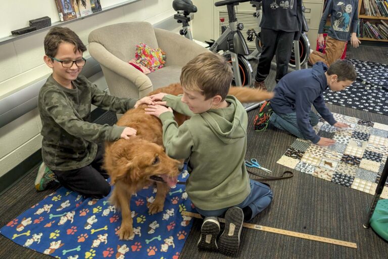 Children play with a dog