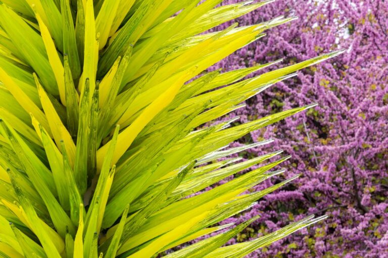 CHIHULY at Meijer Gardens starts May 2
