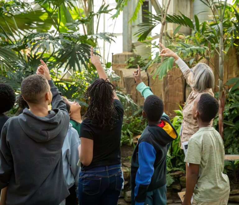 Explore the wonder of Meijer Gardens with a field trip