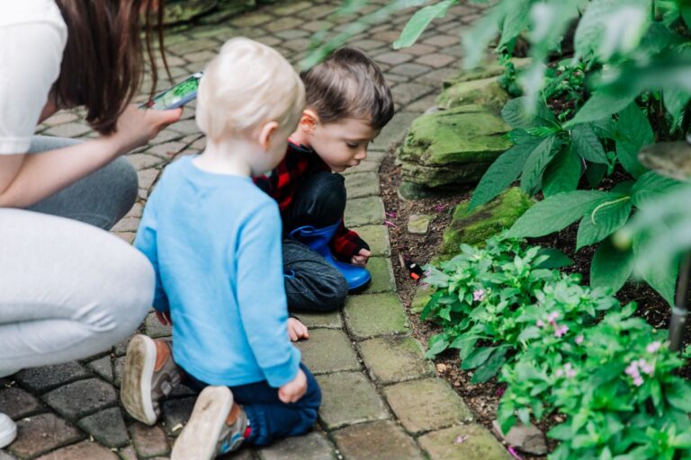 Sensory-friendly hours with the butterflies April 6, 8 and 9